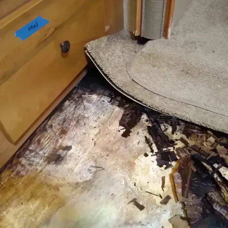 Best Wood Floor Water Damage Service in Clarendon County, SC